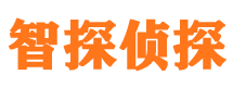 九龙捉小三公司